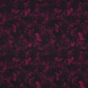 Rosella Stretch Digital Fuchsia Flowers on Black