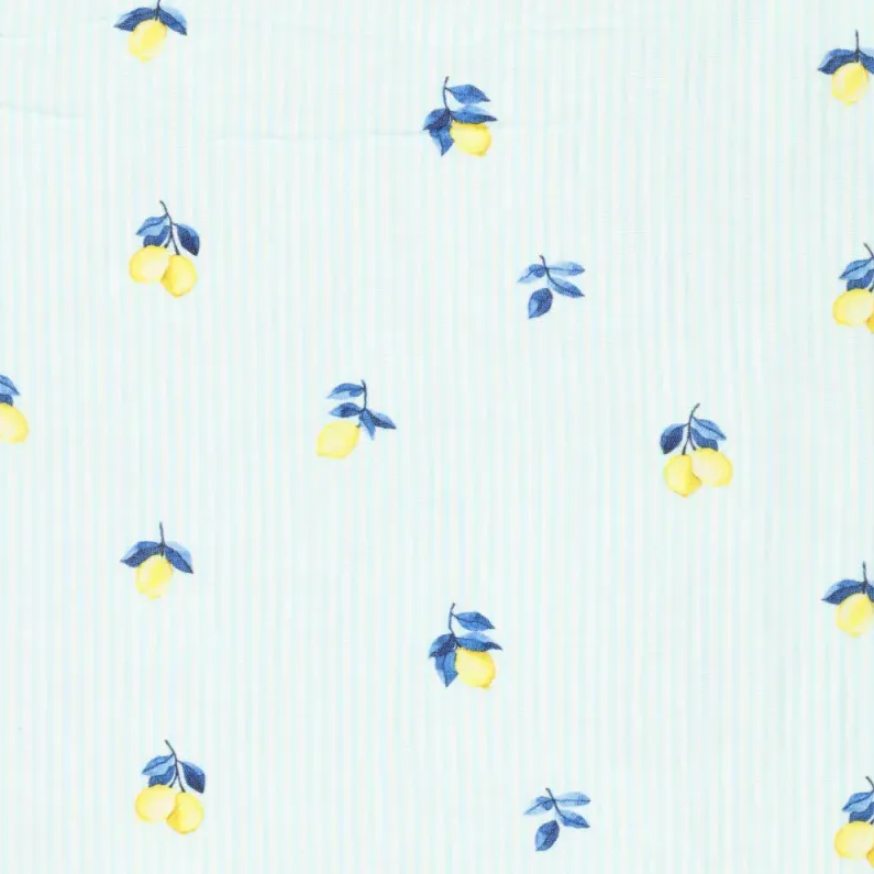 Double Gauze Lemon Stripes Aqua