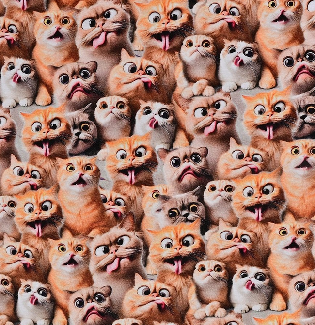 Jersey Digital Funny Cats Brown/Orange