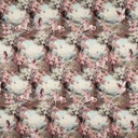 Jogging Digital Fairy Tales