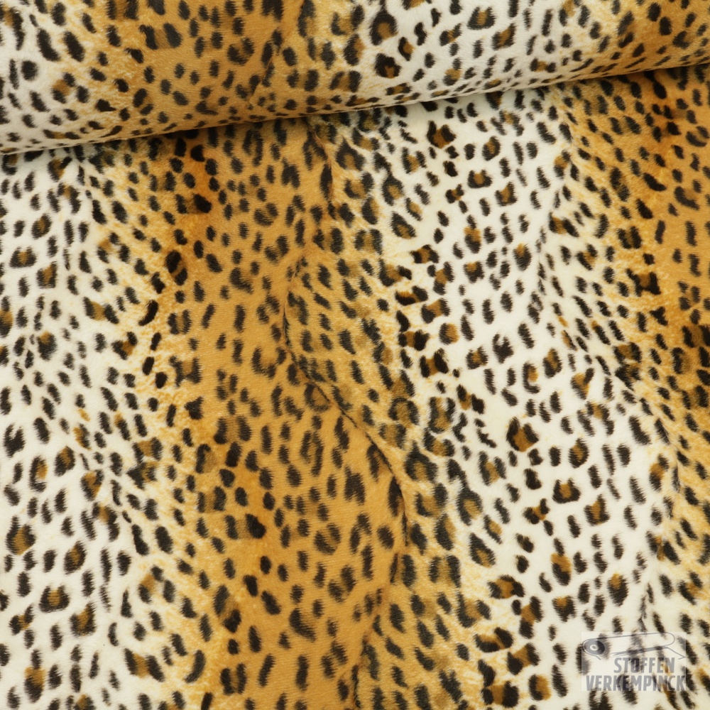 Velboa 05 Cheeta