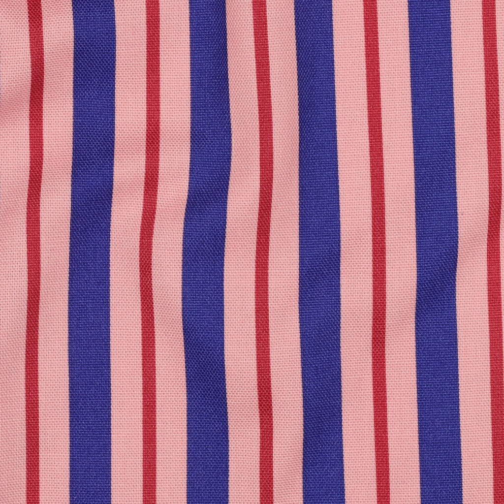 Canvas Stripes Pink/Royal