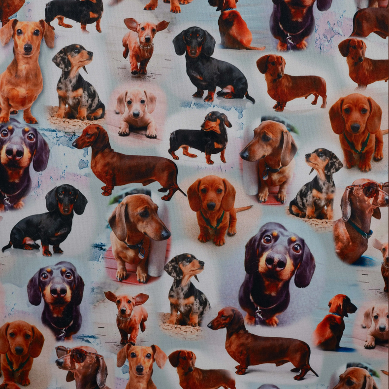 Alpenfleece Digital Dachshund Brown