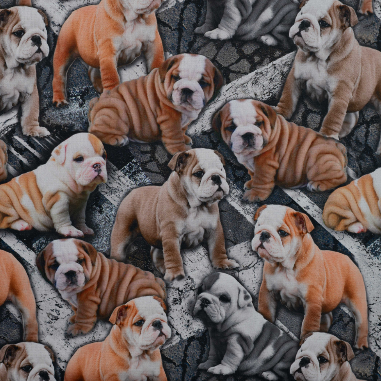 Alpenfleece Digital Bulldog Puppy Anthracite