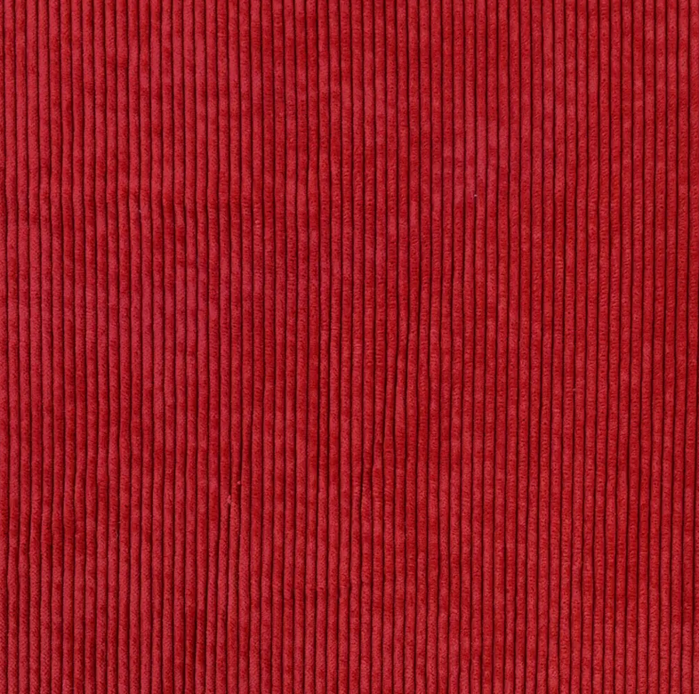Stretch Washed Corduroy Red