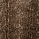 Namaakbont Cavallo Leopard Brown