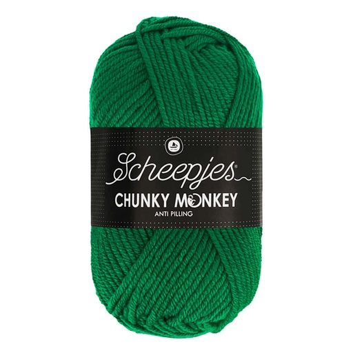 [DBF-1716-1116] Scheepjes Chunky Monkey 100g - 1116 Juniper