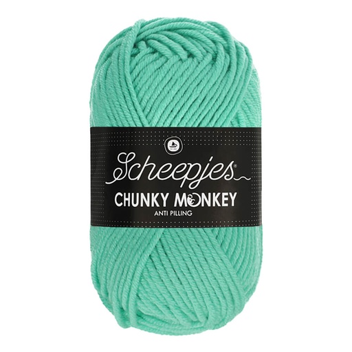 [DBF-1716-1422] Scheepjes Chunky Monkey 100g - 1422 Aqua