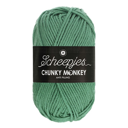 [DBF-1716-1725] Scheepjes Chunky Monkey 100g - 1725 Eucalyptus