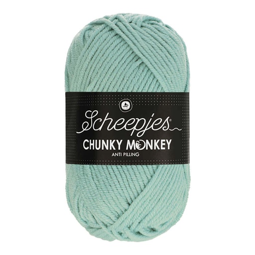 [DBF-1716-1820] Scheepjes Chunky Monkey 100g - 1820 Mist