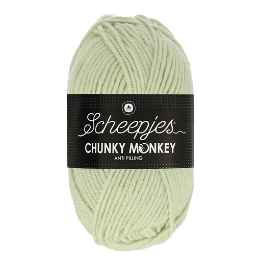 [DBF-1716-2017] Scheepjes Chunky Monkey 100g - 2017 Stone