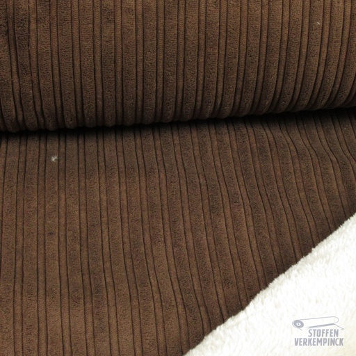 [021-205171-5007] Corduroy met Teddy Bruin