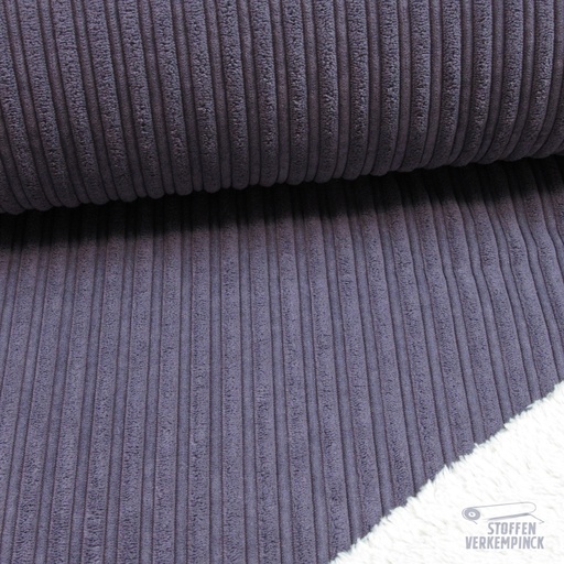 [021-205171-2025] Corduroy met Teddy Paars