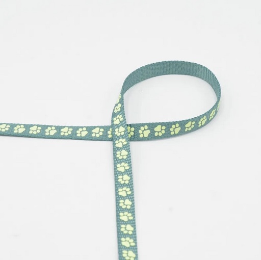 [QT-XWB0017-220-010] Band 10mm Glow in Dark - Mint
