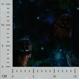 [QT-K50129-980D] Jersey katoen Digital Print Navy ( Owls Night )