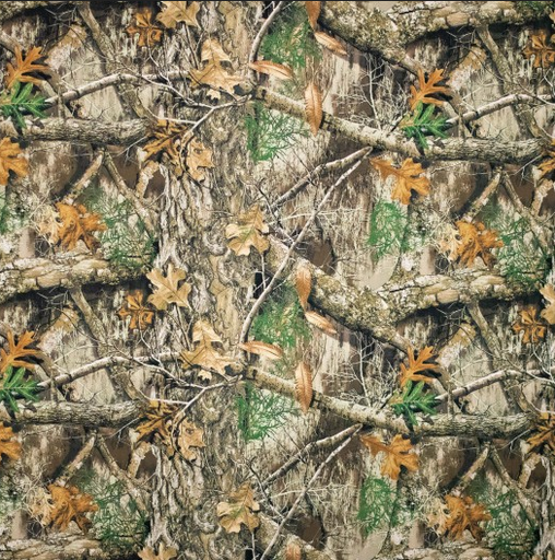 [POL-923028-40] Softshell Print Nature