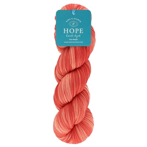 [DBF-1723-SOCK-12] Simy's Hope SOCK 100g - 12 Tomorrow is another day