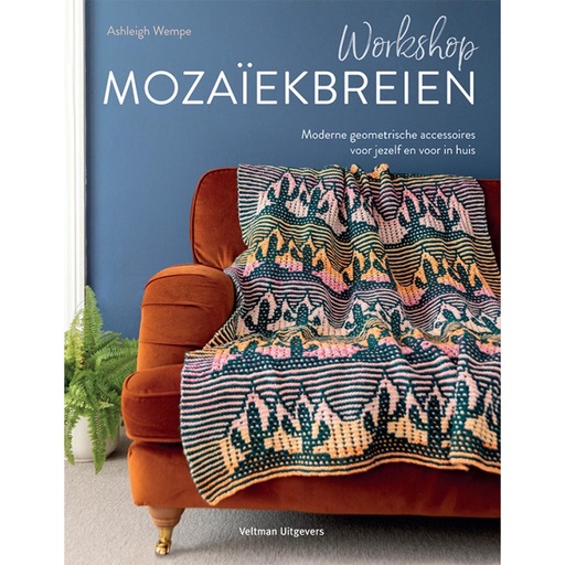[DBF-9999-1629] BOEK Workshop mozaïekbreien - Ashleigh Wempe