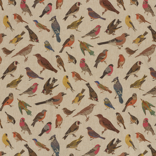 [NO-01970-053] Canvas Digital Birds