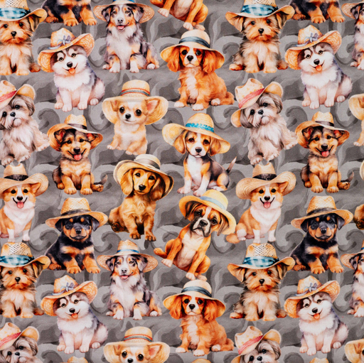 [QT-K60107-620] French Terry Digital Dogs grey