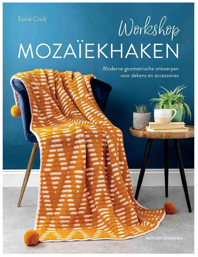 [DBF-9999-0431] BOEK - Workshop Mozaïekhaken - Esme Crick