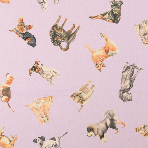 [NO-60436-012] Cotton Digital Dogs Lilac