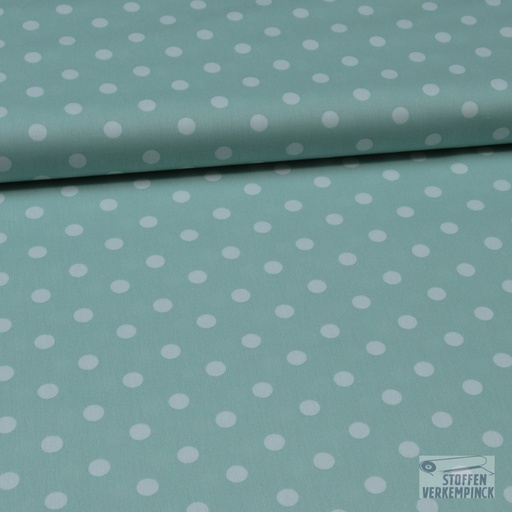 [VE-04949/011] Dots Mint