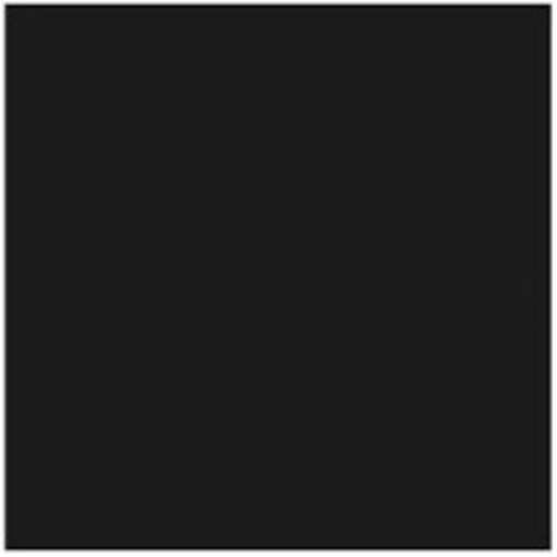 [SI-A0019] Flexfolie Siser easyweed  Black 21cm x 30cm