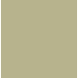 [SI-A0037] Flexfolie Siser easyweed  Sand  21cm x 30cm