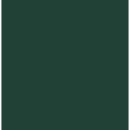 [SI-A0010] Flexfolie Siser easyweed Dark green 21cm x 30cm