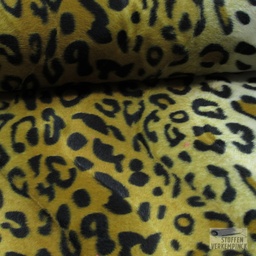 [VE-08292/01] Leopard