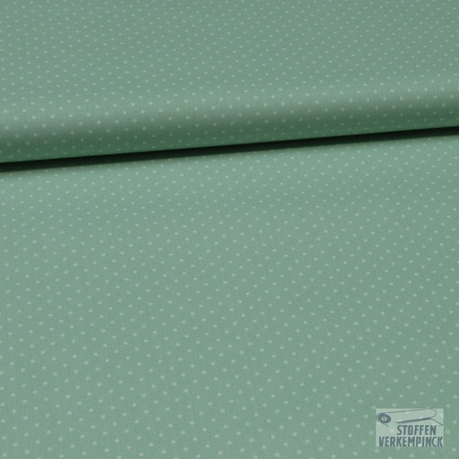 [VE-04948/011] Petit Dots Mint