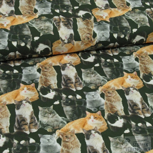 [ZA-009219-01] Popeline Digital Print Katten